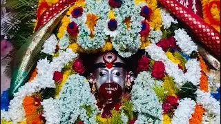 Rath Yatra at Tarapith | Tarapith Tara Ma #tarapith #rathyatra