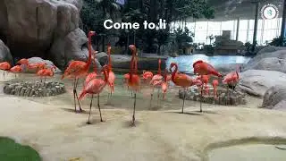 Sea World Abu Dhabi