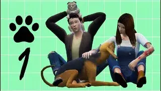 The Sims 4 Cats & Dogs (Bölüm 1) - Porsuk Yaşıyor!