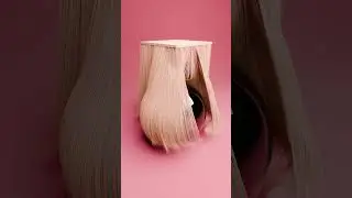 A 3D hair simulation 