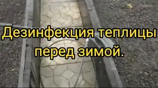 Дезинфекция теплицы перед зимой.