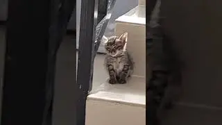 cing ngantuk