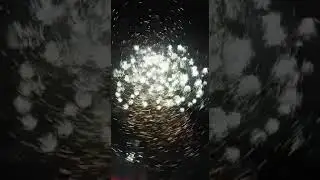 Firework like fireflies