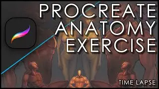 Procreate Anatomy Exercises