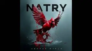 NATRY - Cбитая Птица