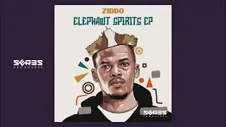 ZIDDO - Elephant Spirits (Remix)