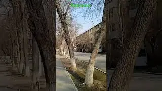 #фергана