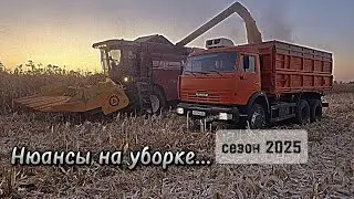 Начало уборки кукурузы в Краснодарском крае! Палессе GS12 + КАМАЗ 45143