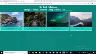 Image Gallery | Image Gallery In Html Css| How To Create Image Gallery In Html and Css