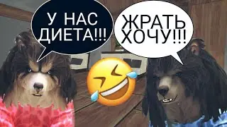 WildCraft Прикол |НА ДИЕТЕ ТОЛЬКО ЖРАТЬ|😂