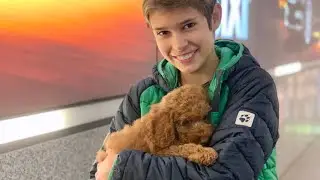 Первая встреча с моим лабрадудлем Oktober 2019 #labradoodle
