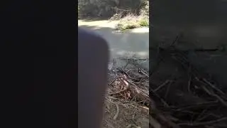 голые бабы в речке