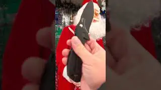 ZT0300ST ONION USA
