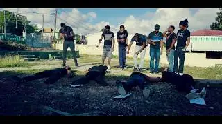 SaMx - Véyé Si Nou (Official Video)