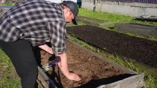 Купил семена овощей и посадил все грядки Арбузом Дыней Петрушкой Укропом Огурцами Горохом Редисом