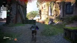 headshot through the leaves