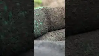 Открылся серебром!