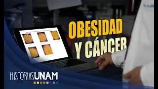 CREAN BIOMARCADORES PARA DETECCIÓN TEMPRANA DE CÁNCER DE MAMA