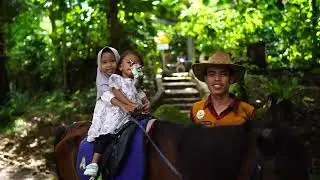 Wisata Keluarga di Puncak Bogor || Cimory Dairyland Riverside