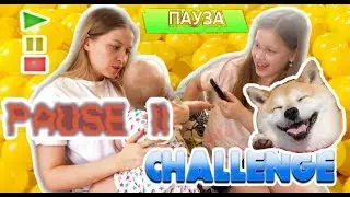 Пауза Челлендж с родителями.  Стоп пауза challenge.