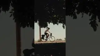cinematic gravel bike spec commercial