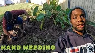 My JAMAICAN Garden Hand Weeding | Living In Australia 🇦🇺