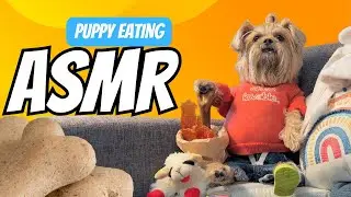 Watch my puppy eat a snack! 🫶