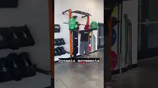 The need you didn’t know you needed!!#prxperformance #safety #work #homegym #homegymlife