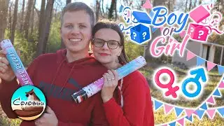 Мальчик или девочка? / Как мы узнали пол ребёнка ещё на 8-й неделе беременности.