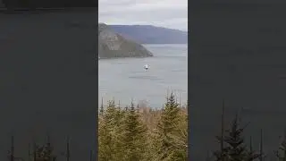 Canadian Coast Guard riding out the storm in a sheltered cove.