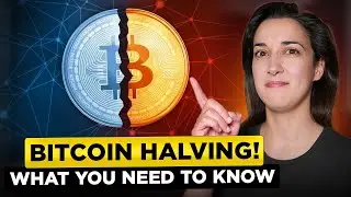Bitcoin Halving Explained ✅ 2024 Price Predictions 📈 Historical Data (Ultimate Beginners’ Guide 🏆)