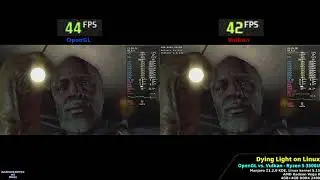 Dying Light (Linux) - Ryzen 5 3500U - OpenGL vs. Vulkan (DXVK)