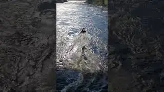 Провожаем лето в Лосево!!!