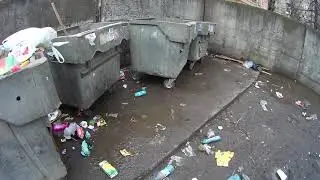 Как правильно выбросить мусор