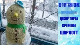 3D Торт Снеговик Декор торта кремом Шарлотт
