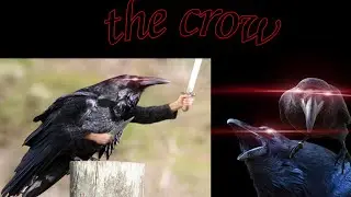 crow bit