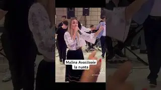 Mina Avasiloaie live nunta