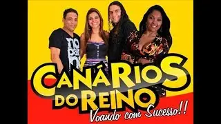 Canários do Reino - O Melhor arrasta Pé de São João   Ao Vivo