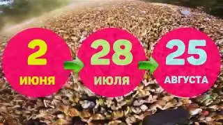 ХолиАрт в ТРЦ Арбуз 2018