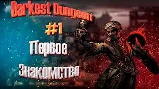 Durkest Dungeon #1 Доктор который смог.