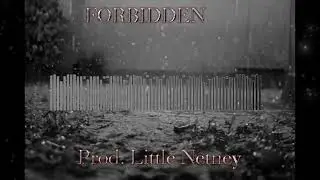 (FREE)Inspirational Emotional Rap Beat | Forbidden | Hip Hop Instrumental (Prod. Little Netney)