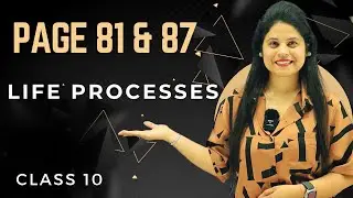 Page 81 & 87 Inbetween Questions | Chapter 5 | Life Processes | Class 10 Science | NCERT