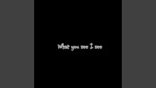 What You See I See