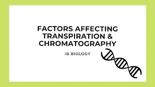 IB Biology: Factors Affecting Transpiration & Chromatography