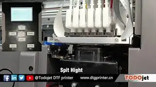 Cleaning processes of Todojet A3 DTF printer.