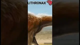 Lithonax - Un jour, Un dino