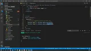 Vue js - Query vs Path
