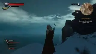 Witcher Surfer (Bugs, Fail, Jokes 