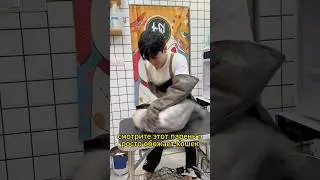 Кошка., которая не любит купаться