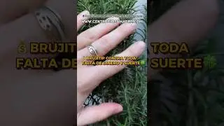 Brujitip destruye pobreza! #diosamadre #ritual #magia #brujeria #dinero #romero #cafe #viral #witch